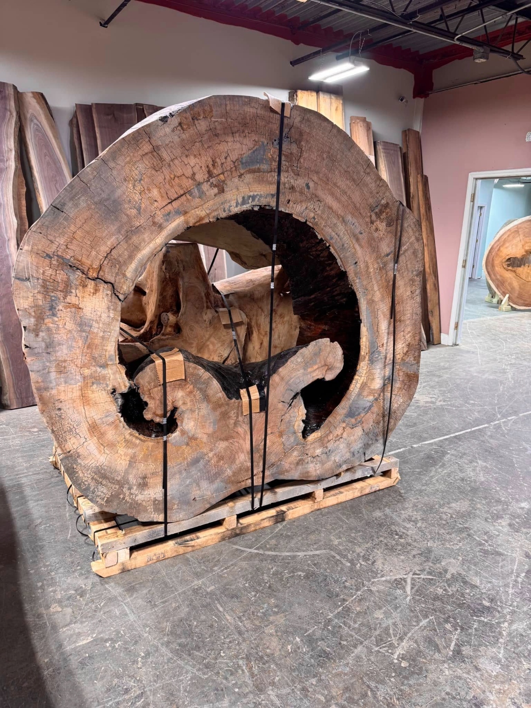 Giant hollow wood round in slab inventory
