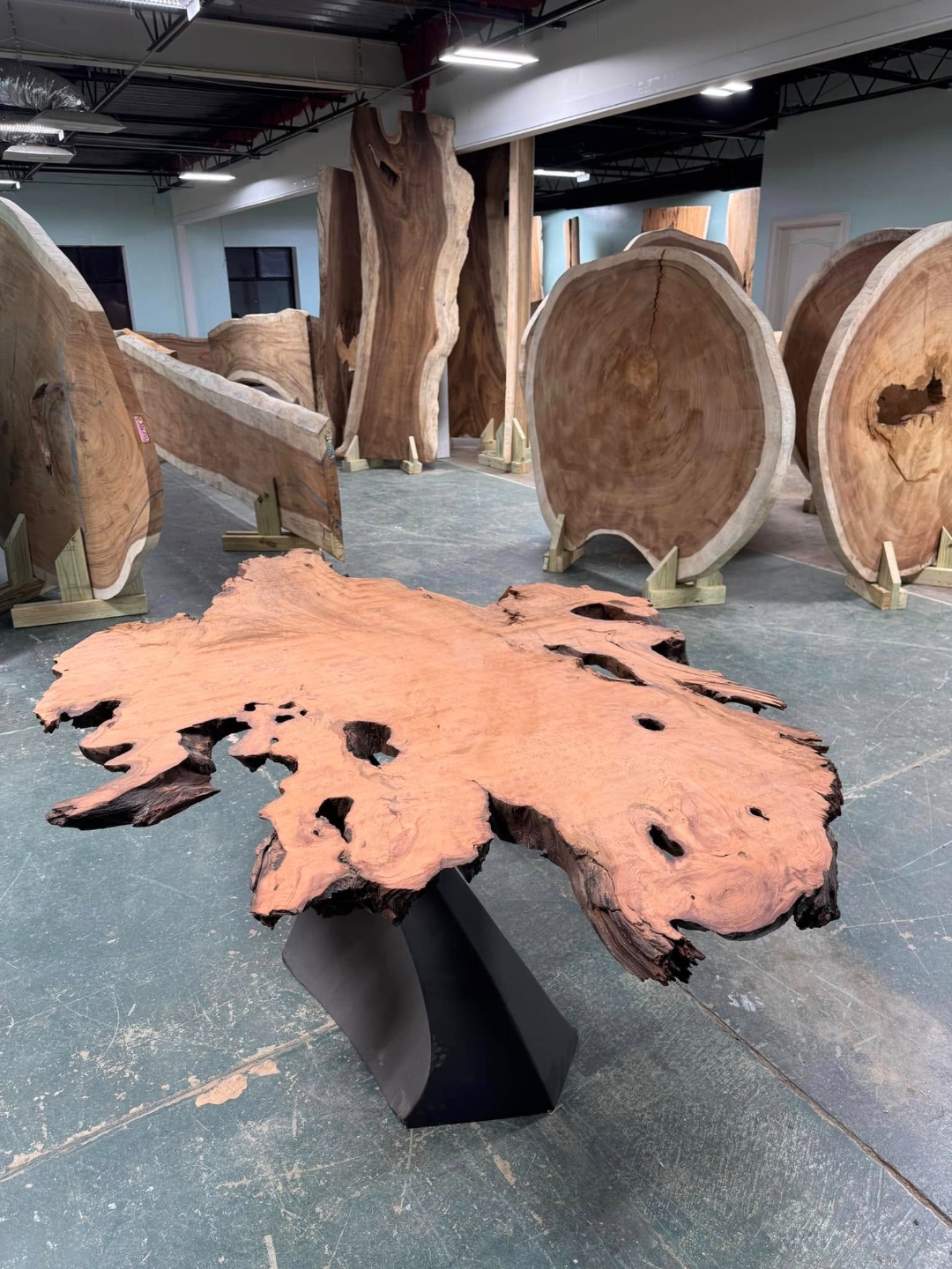Finished burl-slab live-edge table top on a black pedestal base, from our Statham, GA shop