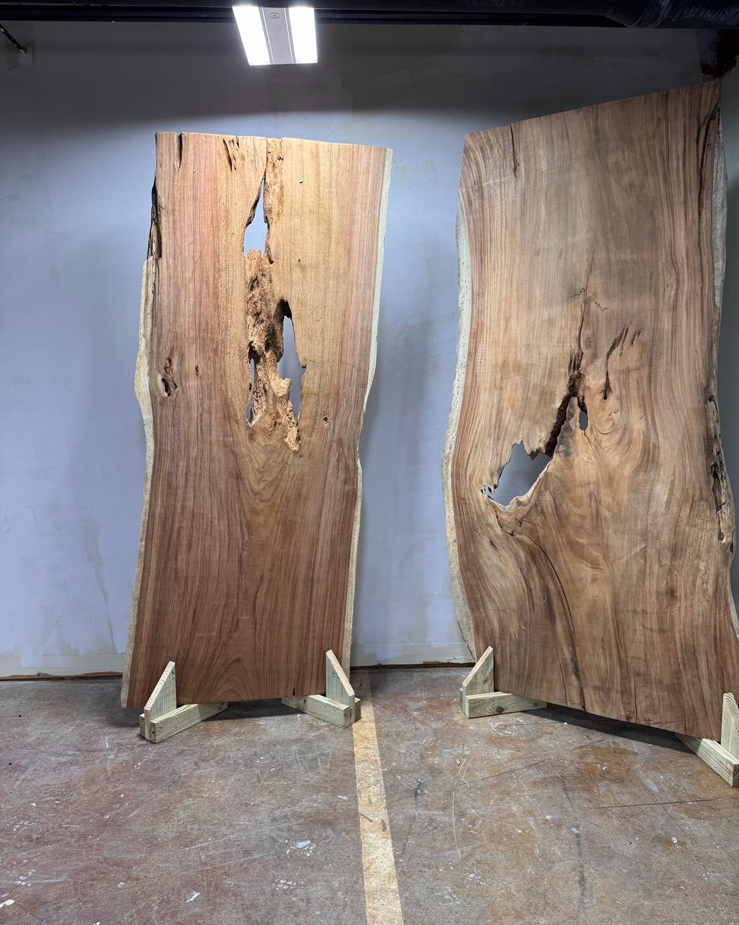 Walnut live-edge slabs with natural voids standing in the wood gallery